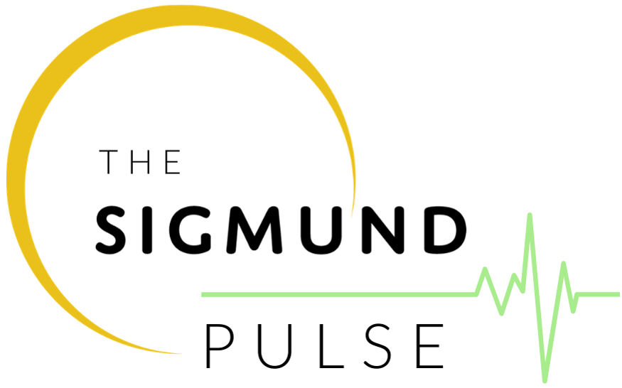 Sigmund Pulse Logo Black Text-1